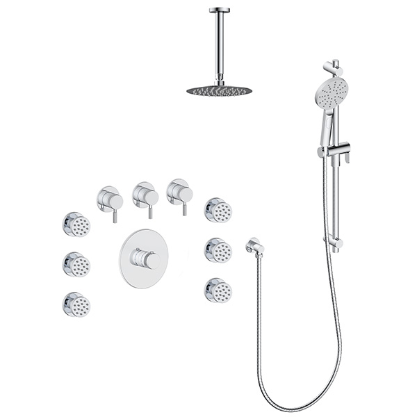 3 function thermostatic shower system