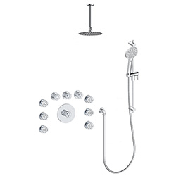 3 function thermostatic shower system