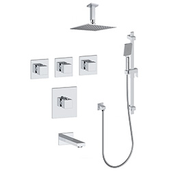 3 function thermostatic shower system